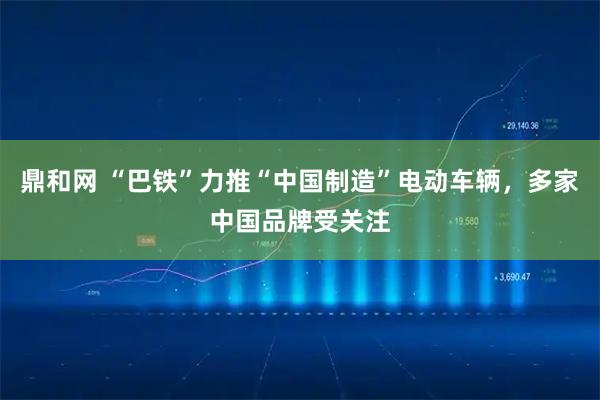 鼎和网 “巴铁”力推“中国制造”电动车辆，多家中国品牌受关注