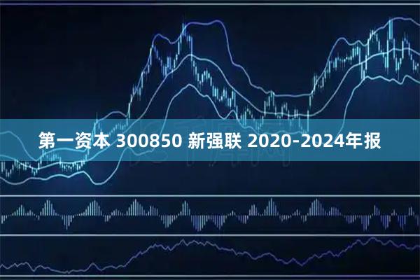 第一资本 300850 新强联 2020-2024年报